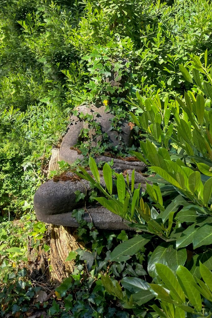 Foto © Bertie Woehouses